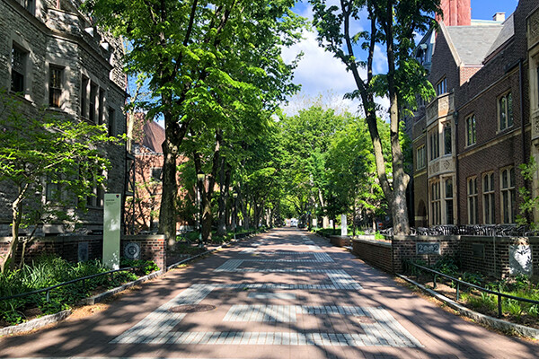 Sunlit but empty Locust Walk in springtime
