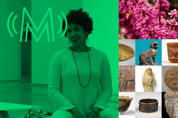Triptych of a still from an art museum showing a contributor to their online content, a spring blossom and a collection of historical objects from the Penn Museum available for exploring virtually online.