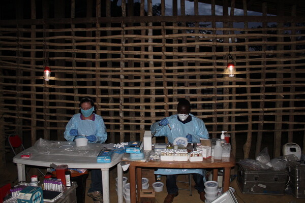 scientists process samples in a field setting