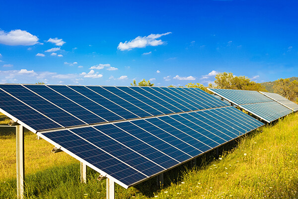 solar panels in a field
