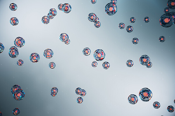 Microscopic view of cells of a living organism.