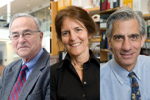 Trio of photos of vision researchers Gustavo Aguirre, Jean Bennett and Albert Maguire