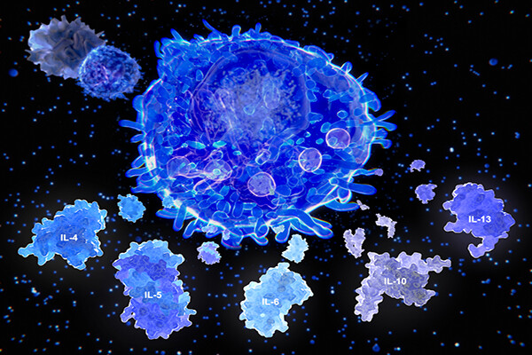 Illustration of a T cell releasing signaling molecules, IL-4, IL-5, IL-6, IL-10, and IL-13