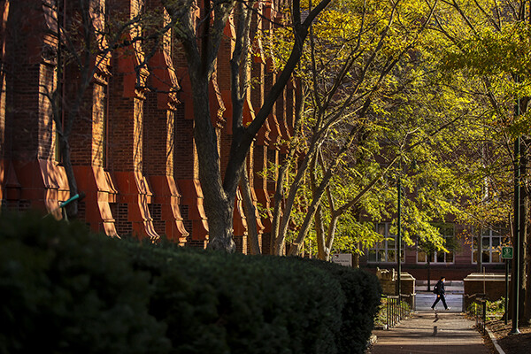 Person walking in distance on Penn’s campus past a building in the autumn sunshine.