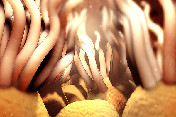 3d illustration of ciliated cells