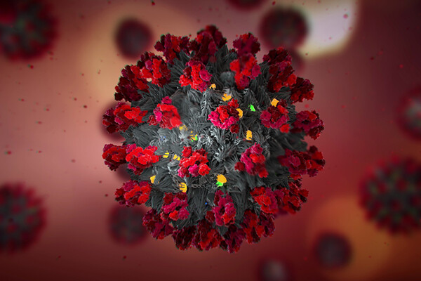 Microscopic COVID-19 cell