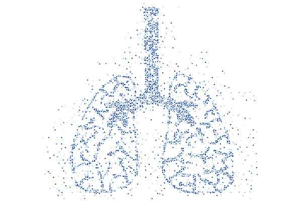 Diagram of lungs comprised of microscopic dots.