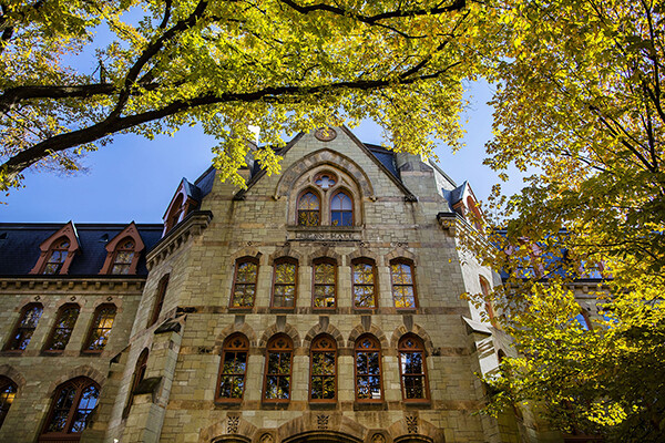 Tree with spring foliage in front of Logan Hall on Penn’s College Green.