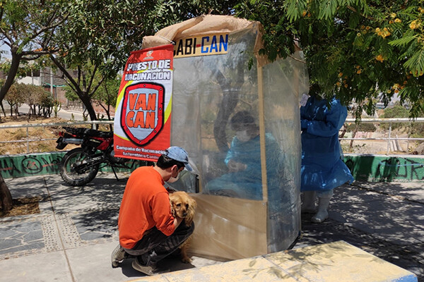 Person kneeling on ground while their dog is vaccinated on a sidewalk in Peru, the medical workers are wearing PPE and working in a temporary plastic tent bubble to protect against COVID.