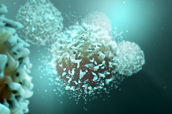 3D illustration of a T cell