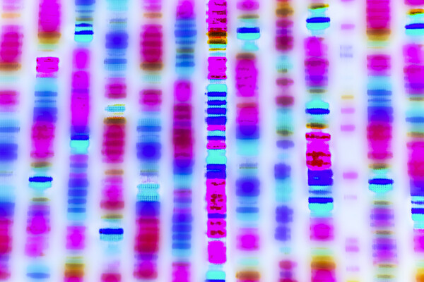 Visual representation of a DNA sequence.