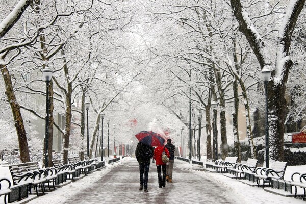 Locust Walk in the snow