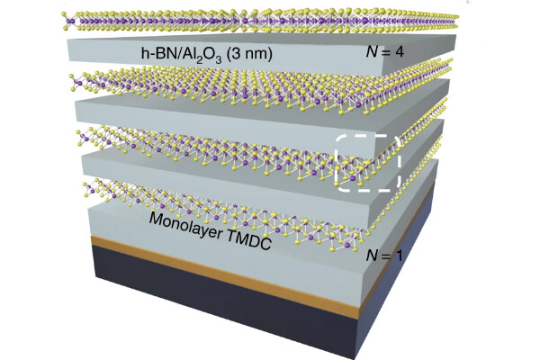 Rendering of layers of anatomically-thin material.