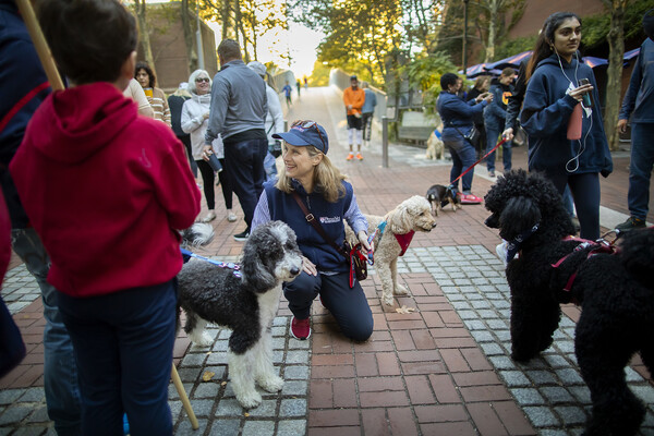 penn president liz magill with dogs on locust walk