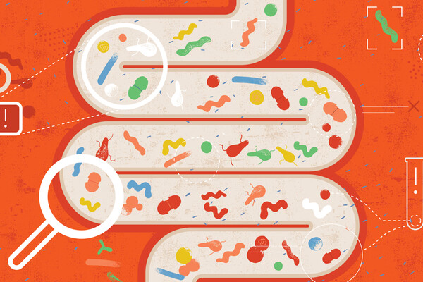 Microscopic rendering of bacteria in the large intestines.
