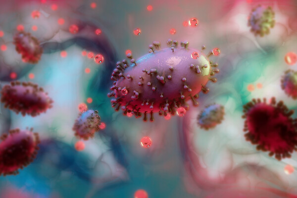 Monkeypox, smallpox. Virus seen under the microscope. Public Health Emergency of International Concern. Spread of the virus. 3d rendering