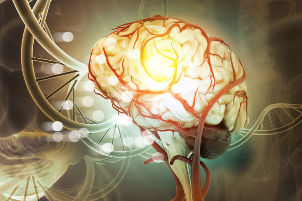 Rendering of brain neurons being stimulated.