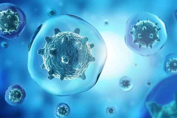 Microscopic view of a cancer cell.