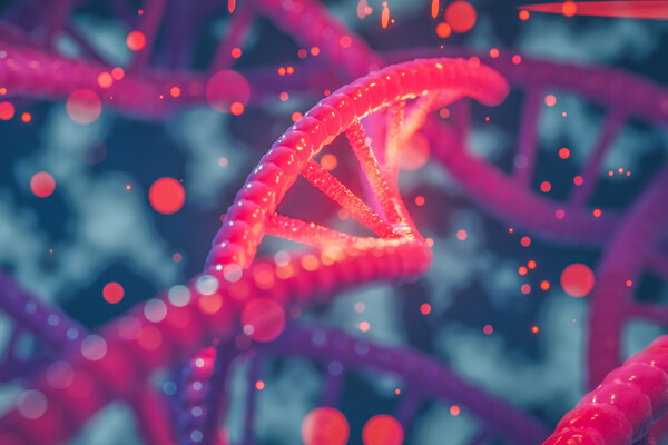 Microscopic view of a DNA strand.