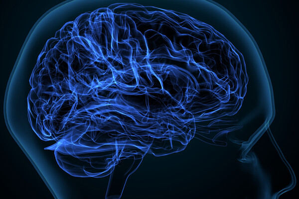 Rendering of brain matter.