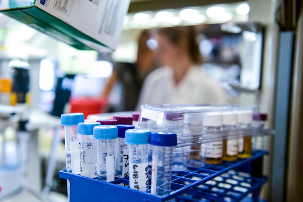 Tray of vials in a medical lab.