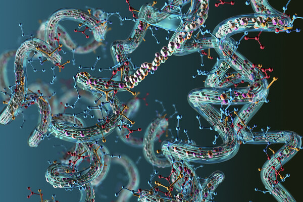 Microscopic view of protein cells.