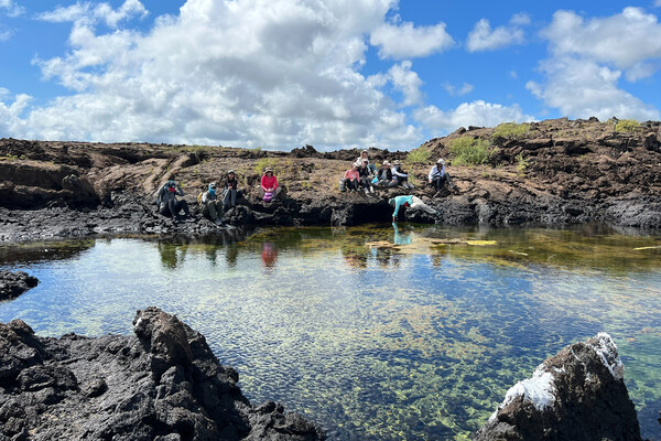students studying the galapagos, sitting on waterfront