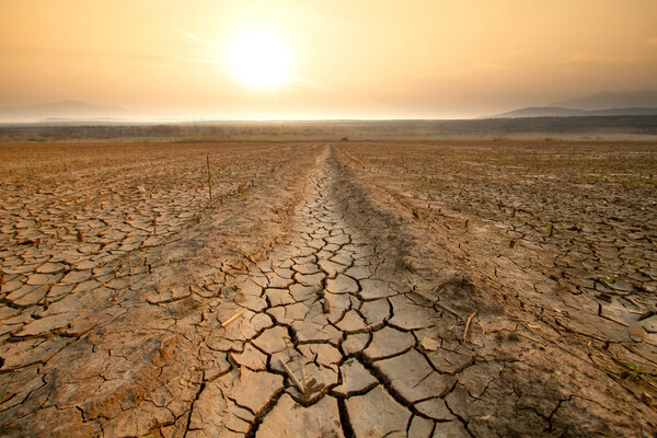 Canal middle agricultural dry by drought and heatwave on summer. water crisis and water stress on summer during long term drought on summer.