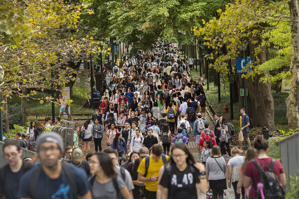 students on locust walk