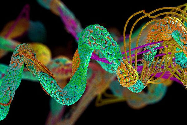 Microscopic view of a chain of proteins.