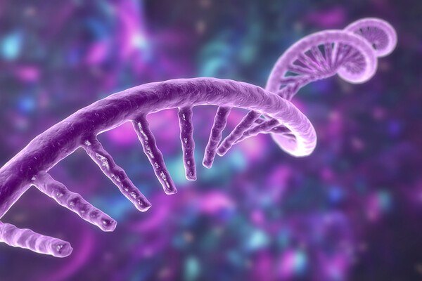 Microscopic view of DNA.