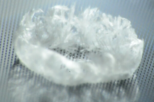 Crystalline coffee ring deposited on superhydrophobic post surface.