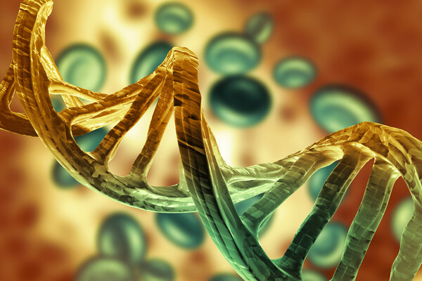 Microscopic view of DNA.