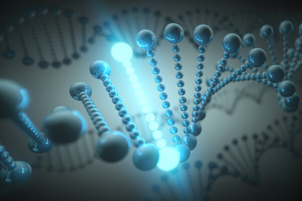 Microscopic strands of DNA.