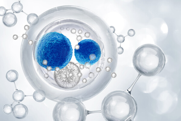 Car T cell therapy.
