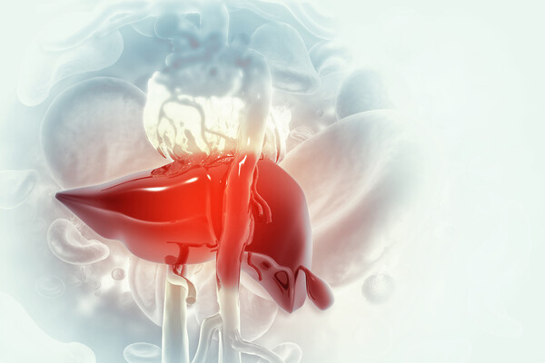 Internal view of a diseased liver.