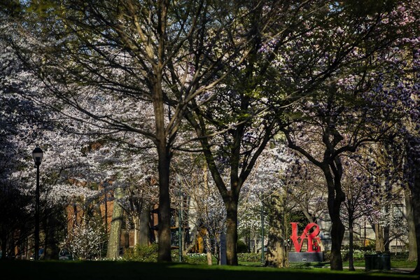 Canopy of trees in early spring that surround the LOVE sculpture.