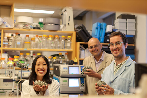 Hannah Yamagata, Research Assistant Professor Kushol Gupta and postdoctoral fellow Marshall Padilla, holding 3D-printed models of nanoparticles in a lab.
