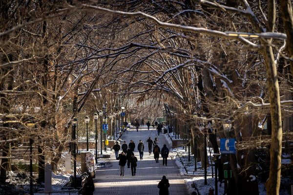 Locust Walk in the snow.