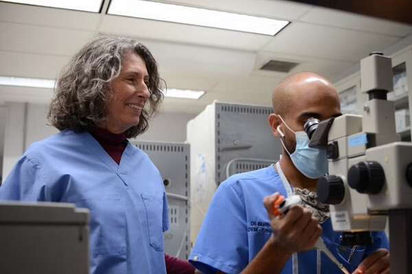 Katrin Hinrichs and Matheus Felix in a lab.