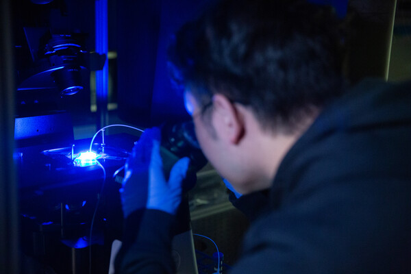 Ran Tao, a Ph.D. student in the Mathijssen Lab using a microscope