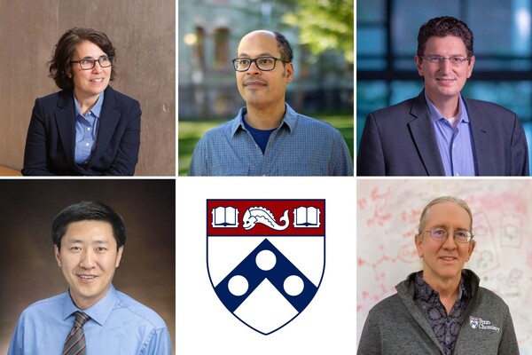 Portraits from left to right, first row: Cherie Kagan, Danny Krashen, George Pappas. Second row: Kai Tan, Patrick Walsh.
