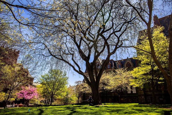 College Green in spring.
