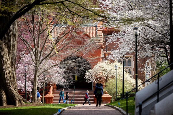 Fisher Fine Arts building in the spring with blossoming trees.