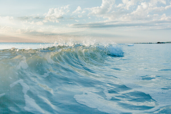 A wave in the ocean.