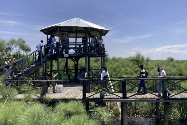 Students walking along the Donga boardwalk in Kisumu.