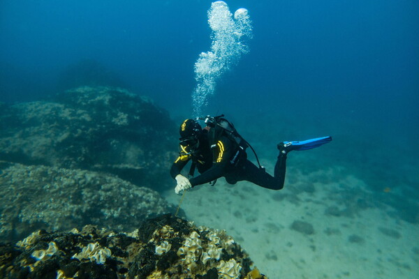 A scuba diver under water.