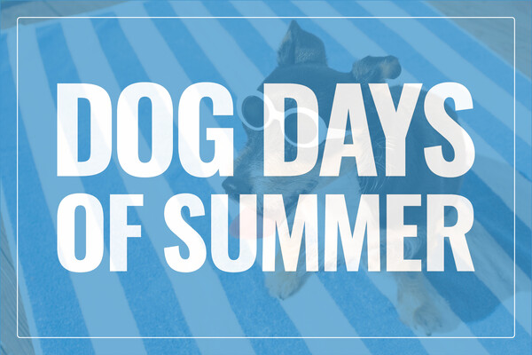 Dog Days of Summer