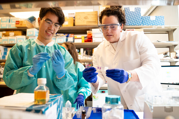 Researchers in the lab of Robert Vonderheide.