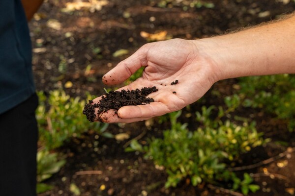 A hand holding soil.